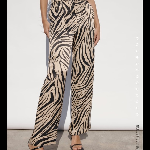 Fluid Animal Print Pants - Picture 3 of 8